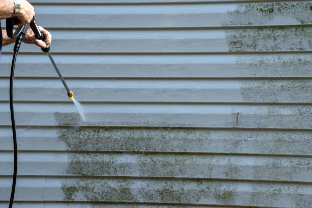Trusted St Francis, MN Junk Removal Experts